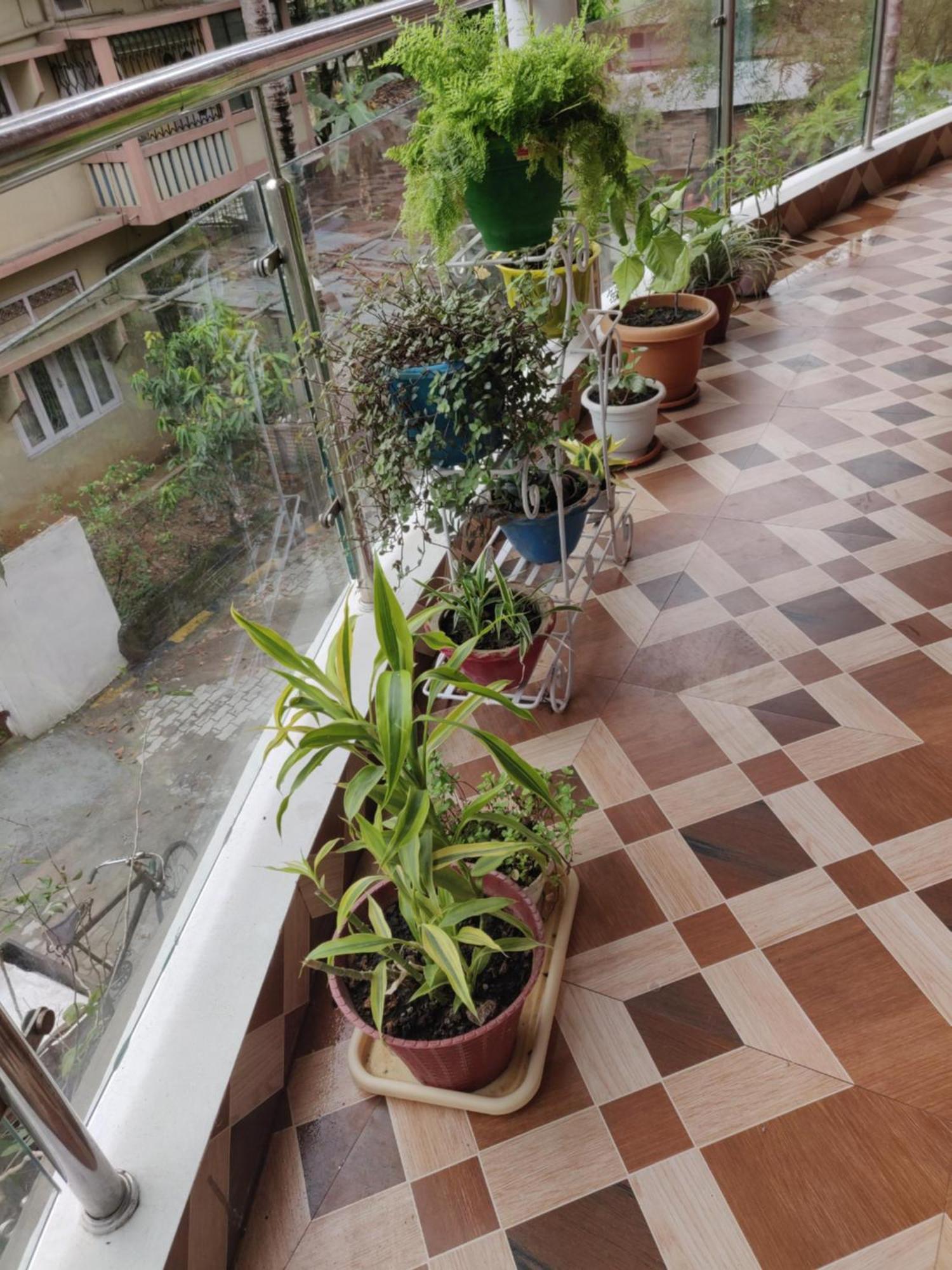 Bandana'S Bed & Breakfast Guwahati Exterior foto